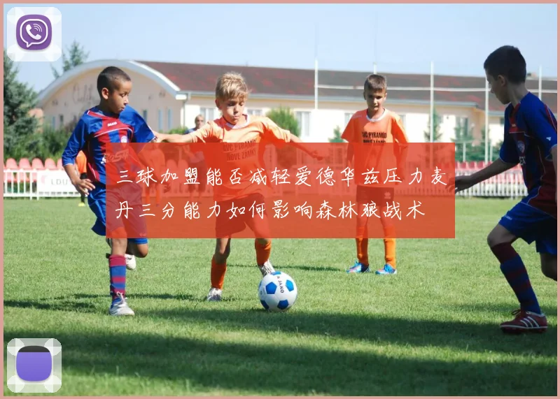 三球加盟能否减轻爱德华兹压力麦丹三分能力如何影响森林狼战术