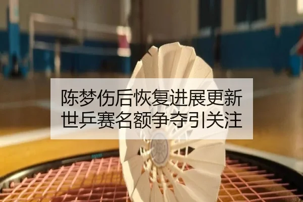 陈梦伤后恢复进展更新 世乒赛名额争夺引关注